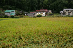 実りの駅