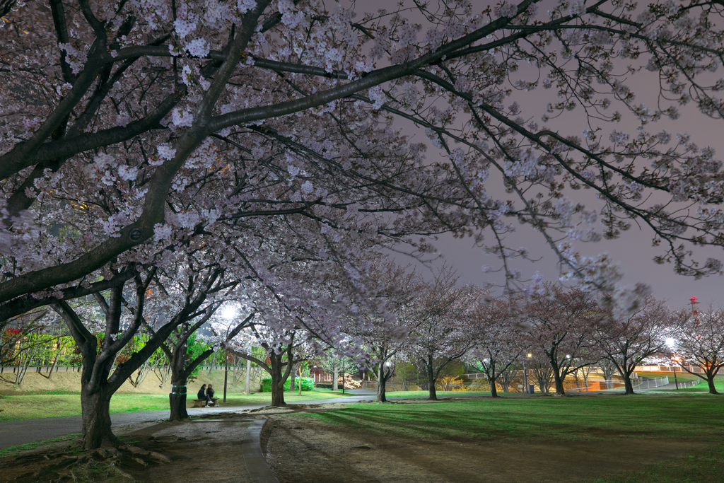 若葉台公園