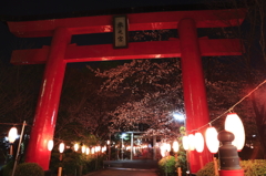 神社と夜桜