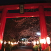 神社と夜桜