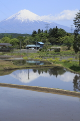 棚田と富士山