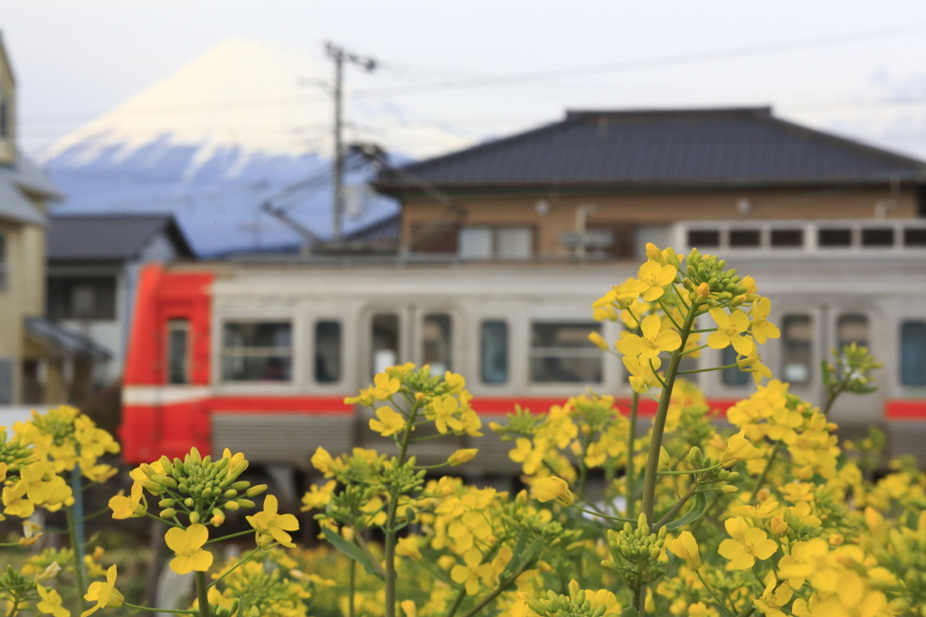 岳南電車と富士山