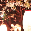夜桜と提灯ライトアップ