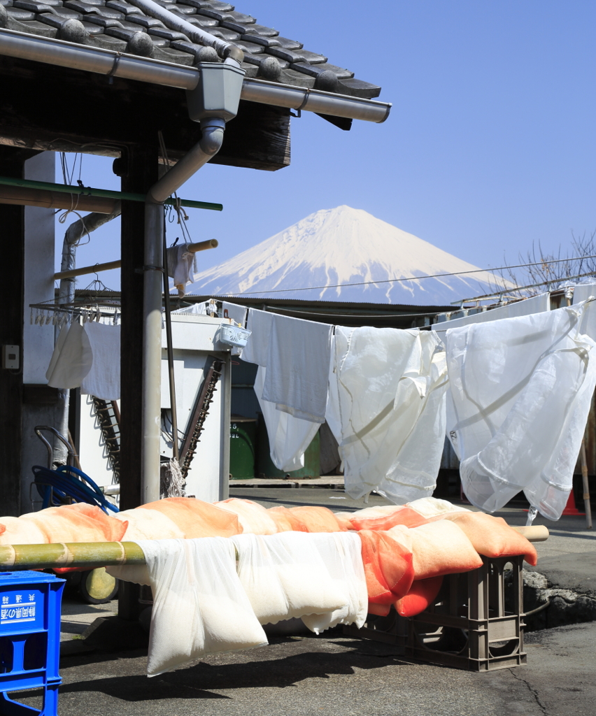 酒造りを見守る富士山
