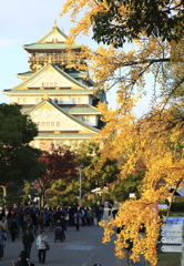 黄葉と大阪城