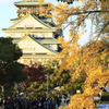 黄葉と大阪城