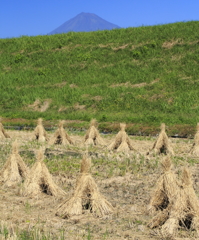 藁の屋根のお家と富士山