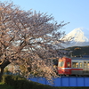 桜と富士山と岳南鉄道