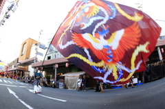 きのえね祭り よさこい旗