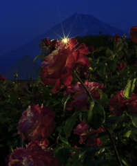 夜ばらと富士山