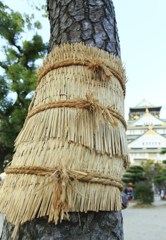 冬支度