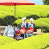 ちょっと一息