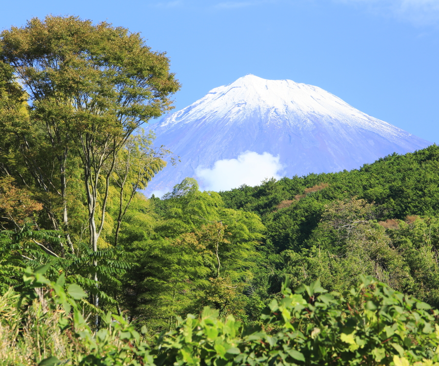 富士山ちょっと雪