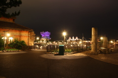 ＴＤＳ夜景