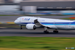 HANEDA