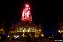 ディズニーリゾート