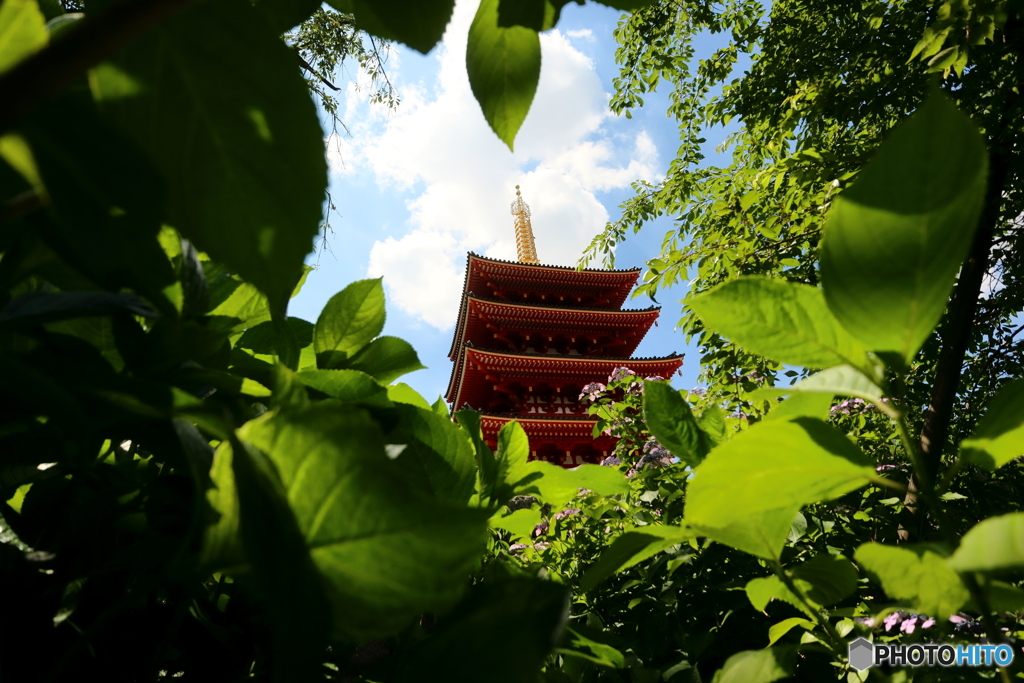高幡不動尊