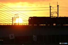 朝の多摩川