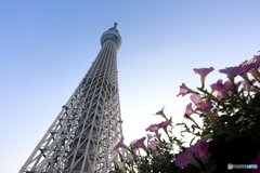 街並み