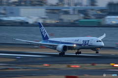 787ロゴ入り機シリーズ②