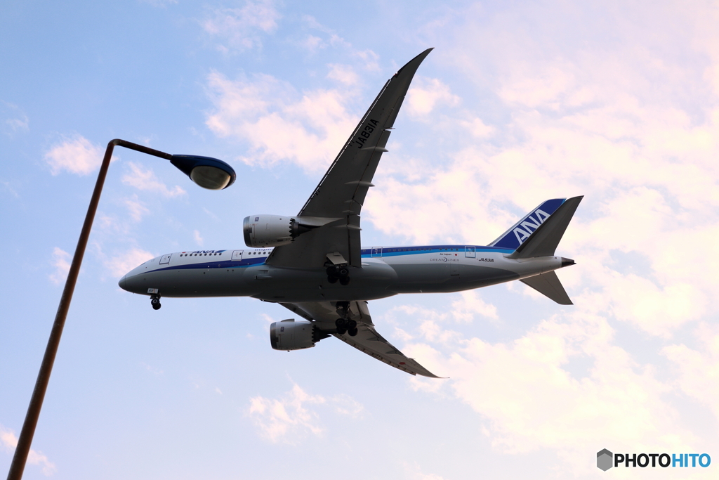 HANEDA
