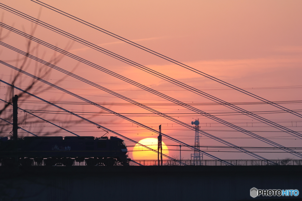 朝の多摩川