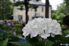 郷土の森