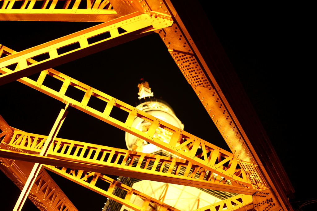 TokyoTower 