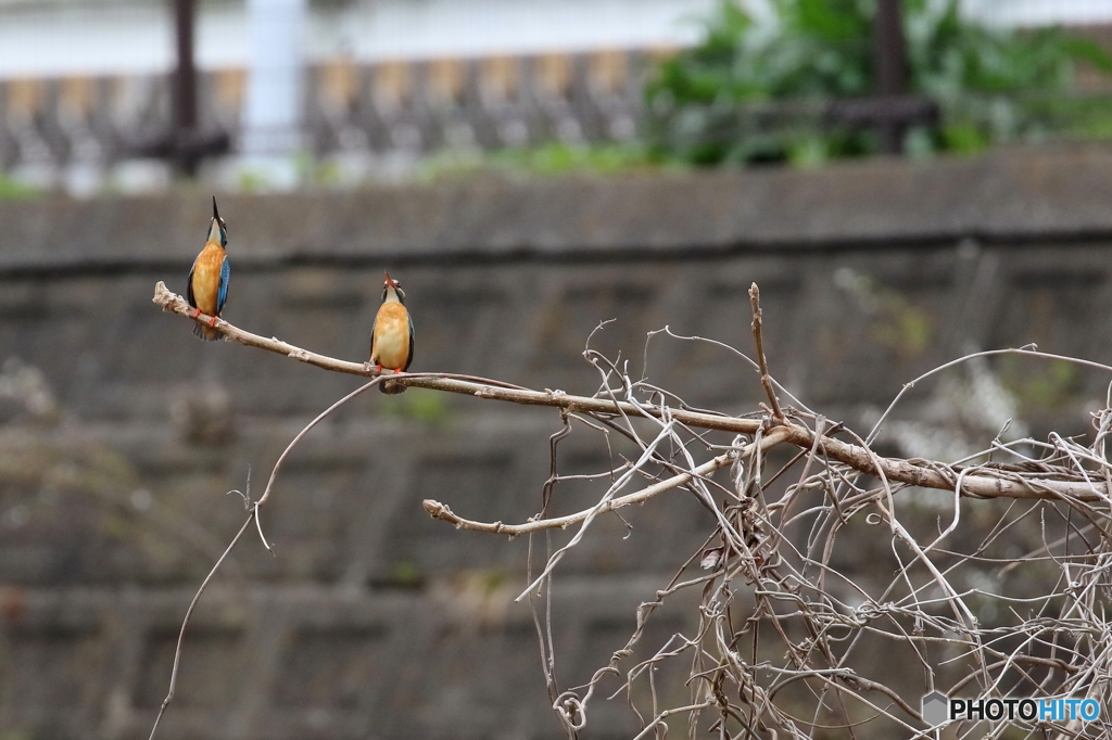 お前さん天気が良くないね～　そうだな～