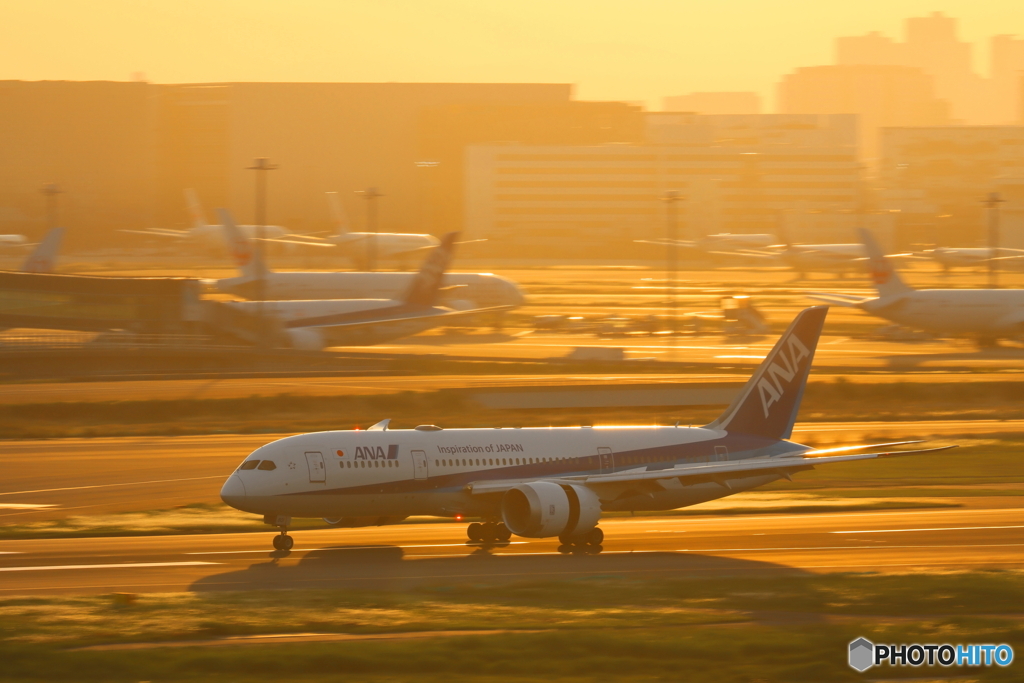 HANEDA