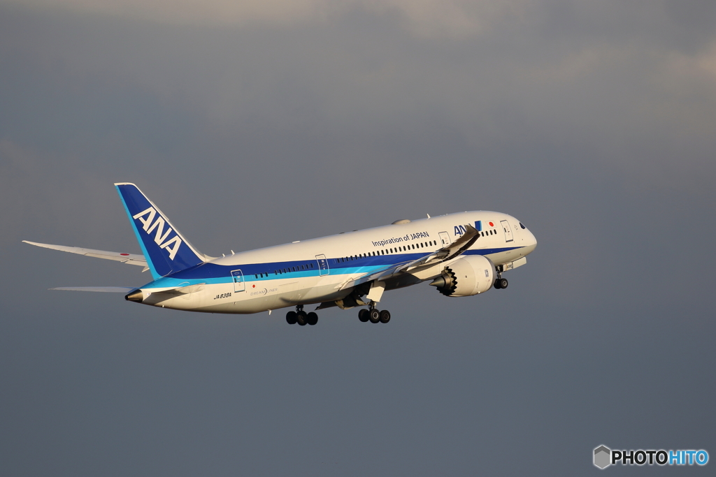 HANEDA