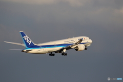 HANEDA