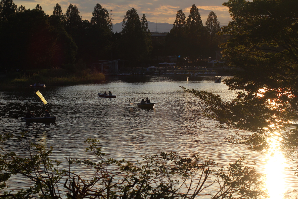 公園の夕方の風景