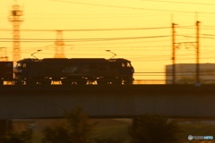 金太郎と桃太郎