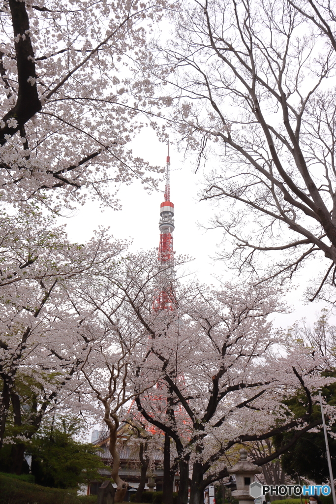 街並み