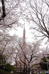 街並み