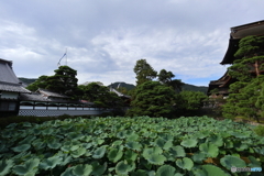 長野