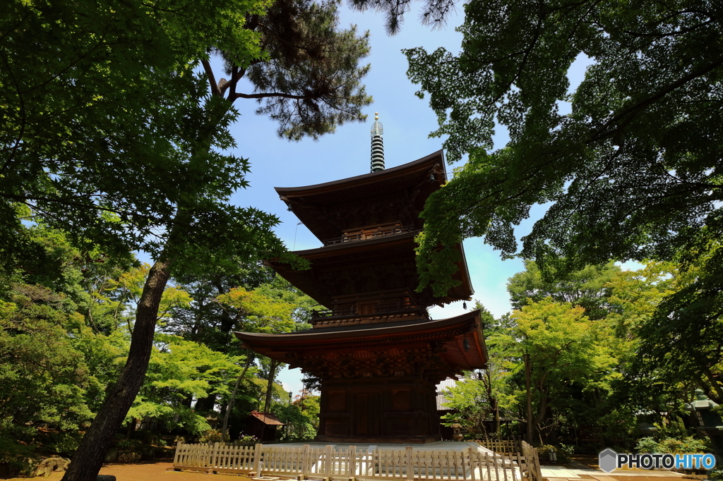  豪徳寺