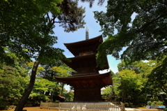  豪徳寺