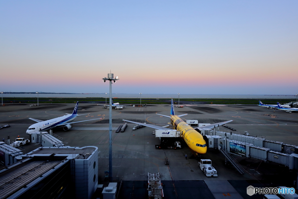 HANEDA