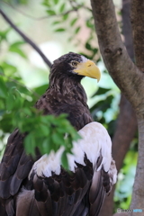 動物園