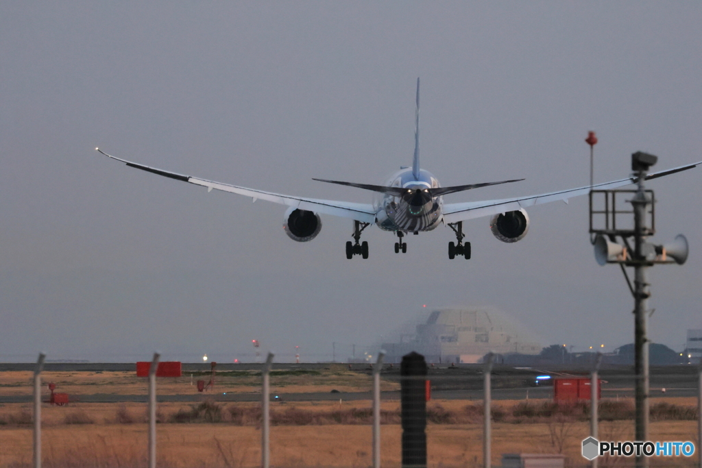 HANEDA