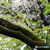 名所