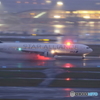 雨のHANEDA