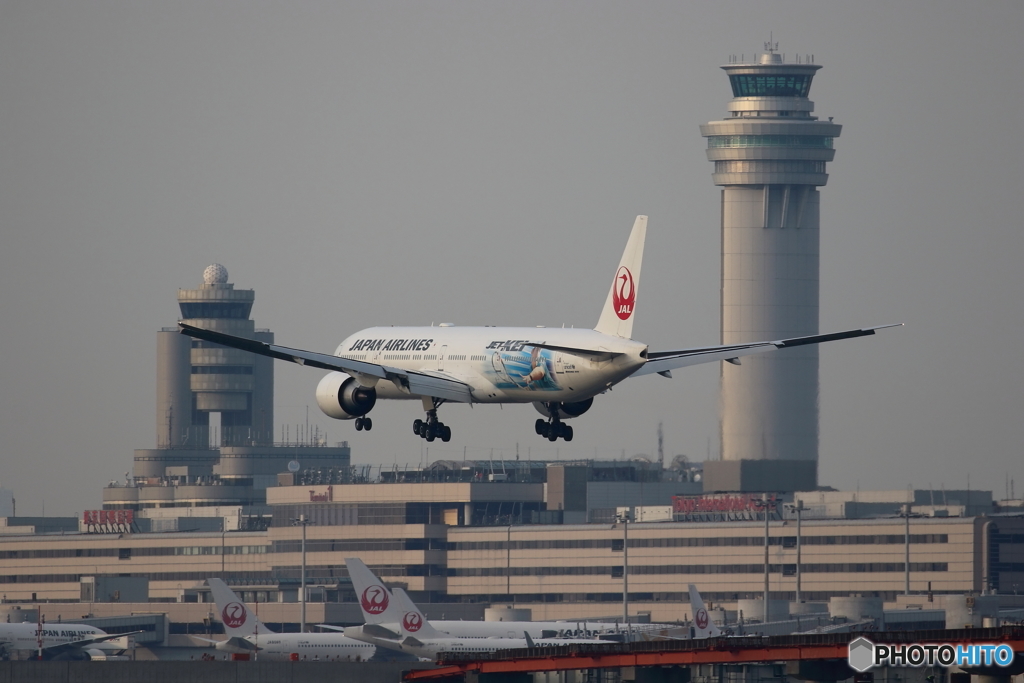 浮島公園（HANEDA）