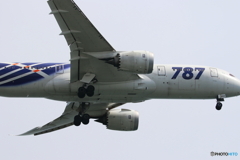 787ロゴ入り機シリーズ①