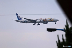 HANEDA