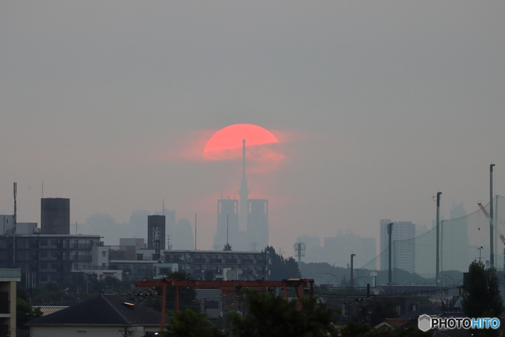 朝の多摩川