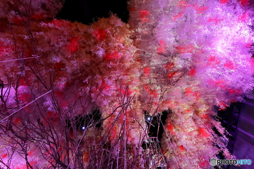 FLOWERS BY NAKED