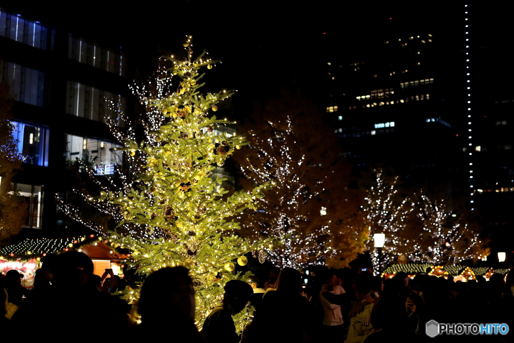 イルミネーション